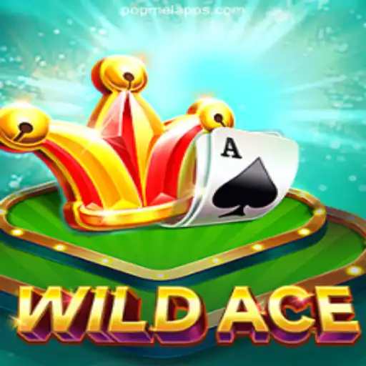 Exploring WildAce and POPMEL.COM: The Premier Platform for Official Slots in Brazil